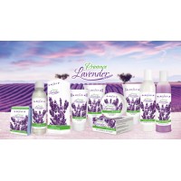 Provence Lavender